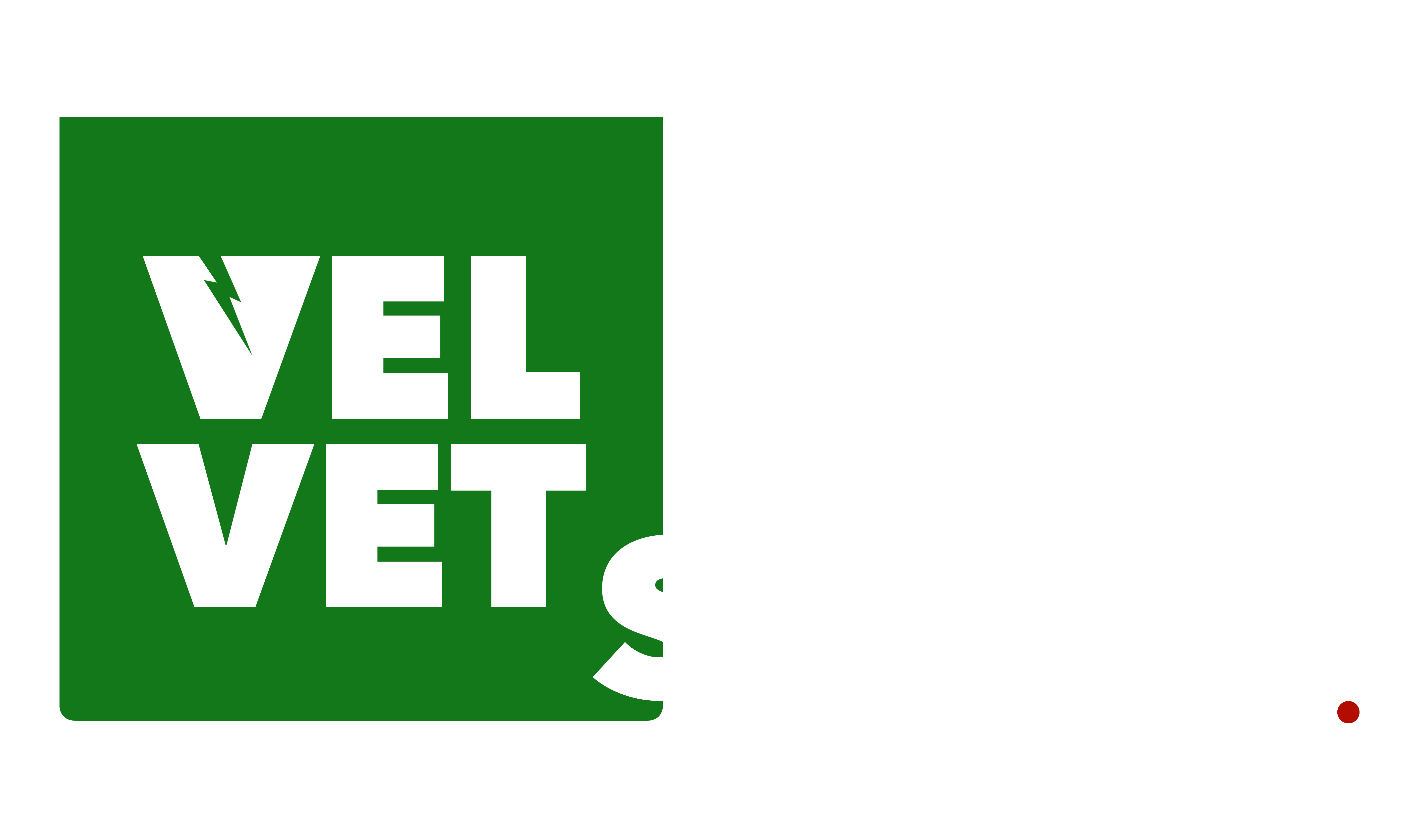 Velvet Screen Studio